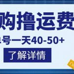 网购撸运费险项目，单号一天40-50+，实实在在能够赚到钱的项目【详细教程】