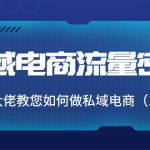 私域电商流量密码：千万级大佬教您如何做私域电商（12节课）