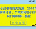 小红书电商无货源，2024年搞钱计划，个体如何在小红书风口赚到第一桶金