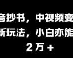 抖音抄书，中视频变现蓝海新玩法，小白亦能月入 过W【揭秘】