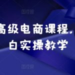 小红书高级电商课程，新手小白实操教学