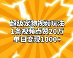 超级宠物视频玩法，1条视频点赞20万，单日变现1k