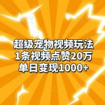 超级宠物视频玩法，1条视频点赞20万，单日变现1k