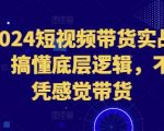 2024短视频带货实战课，搞懂底层逻辑，不再凭感觉带货