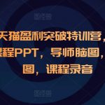 淘宝天猫盈利突破特训营，6天6夜，课程PPT，导师脑图，学员脑图，课程录音