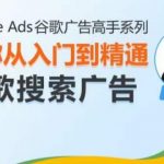 Google Ads谷歌广告高手 – 搜索广告，带你从入门到精通谷歌搜索广告