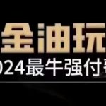 2024最牛强付费，万金油强付费玩法，干货满满，全程实操起飞（更新12月）