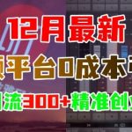 12月最新：音频平台0成本引流，日引流300+精准创业粉