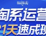 淘系运营21天速成班(更新24年12月)，0基础轻松搞定淘系运营，不做假把式