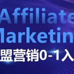 ​​​​​​Affiliate Marketing联盟营销0-1入门，联盟营销基本逻辑 联盟平台逻辑及联盟客逻辑全面详解