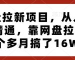 网盘拉新项目，从入门到精通，靠网盘拉新3个多月搞了16W